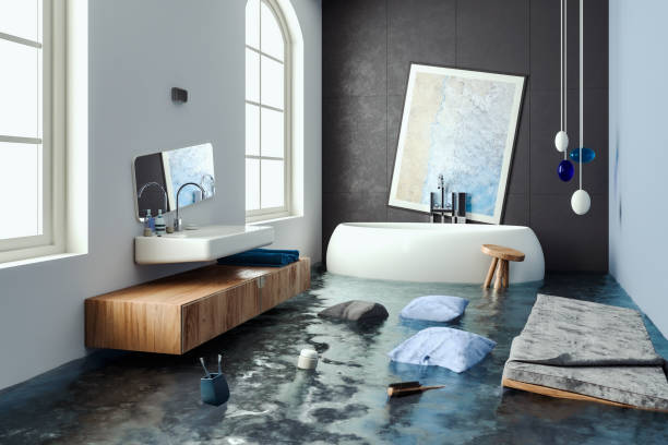 Best Water damage cleanup near me  in Balm, FL