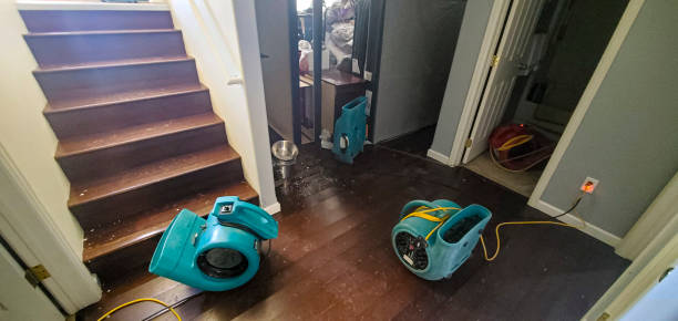 Best Flooded house restoration  in Balm, FL