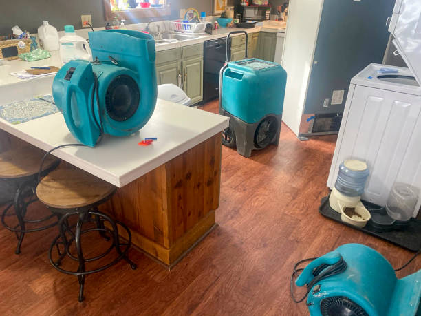 Best Ceiling water damage repair  in Balm, FL