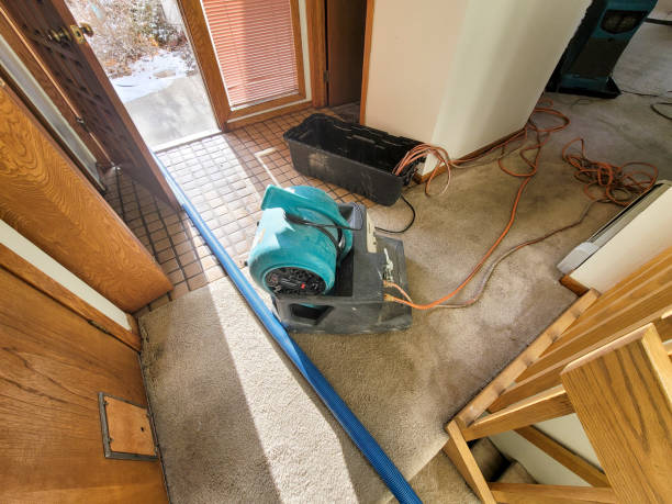 Best Water damage restoration near me  in Balm, FL