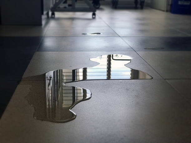 Best Professional water damage repair  in Balm, FL