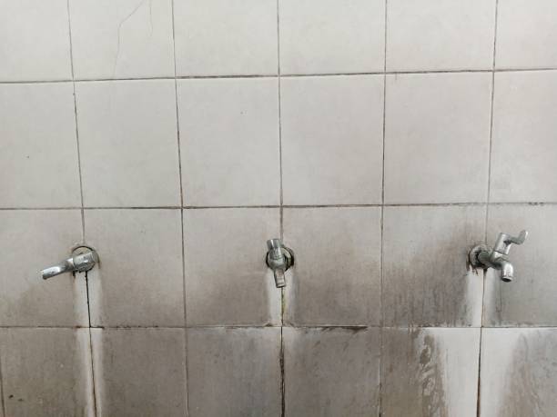 Best Water damage contractors near me  in Balm, FL