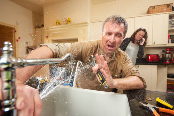 Best Water damage mitigation services  in Balm, FL